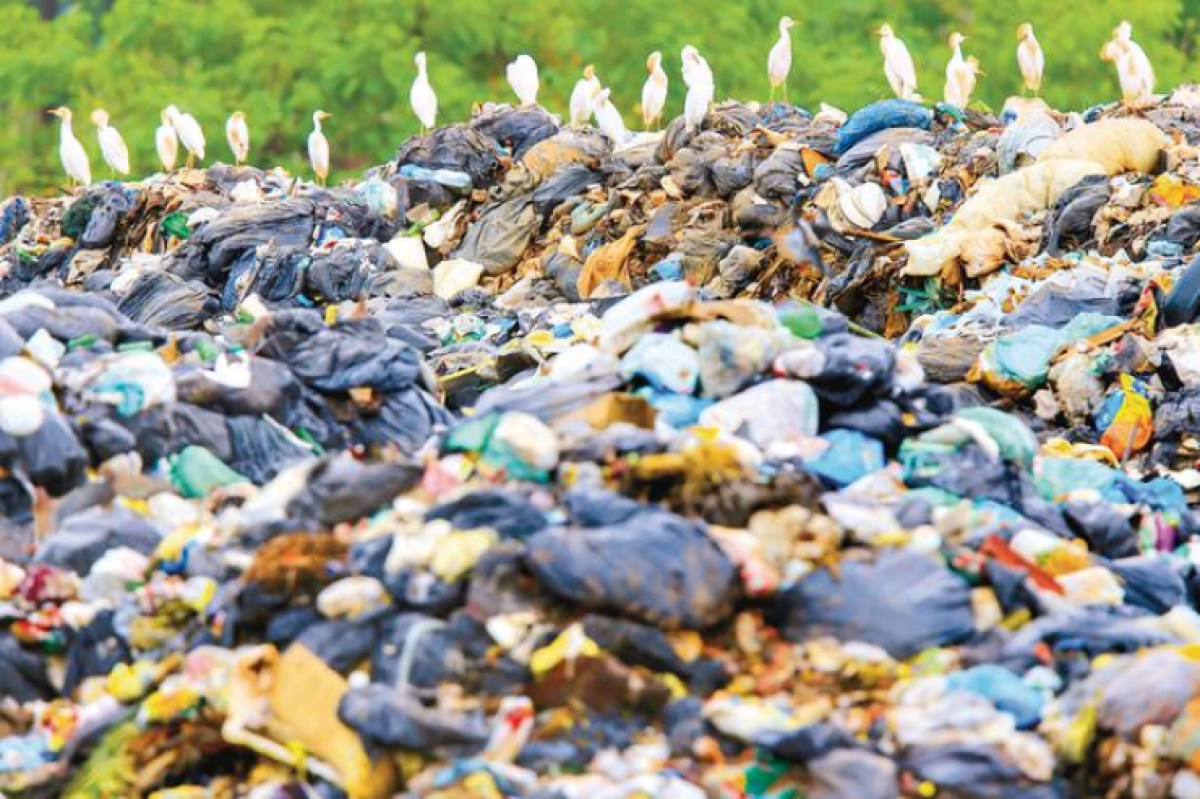 Dema diz que Comurg cometeu crime ambiental por manter lixão a céu aberto em Goiânia