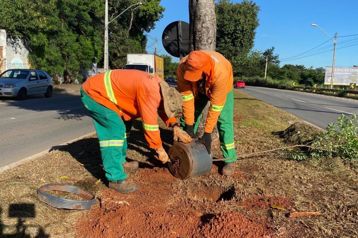 Confira os próximos passos após assinatura de contrato para coleta de lixo em Goiânia