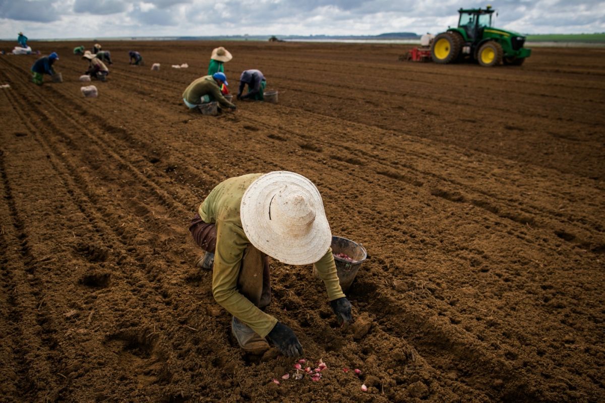 Taxa de informalidade em Goiás atinge 35,9%; terceira maior redução do país