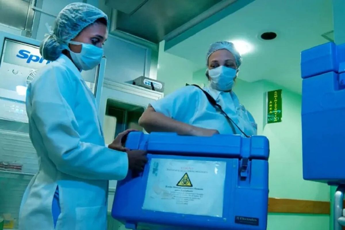 Quase 500 pacientes esperam na fila de transplante de rim em Goiás