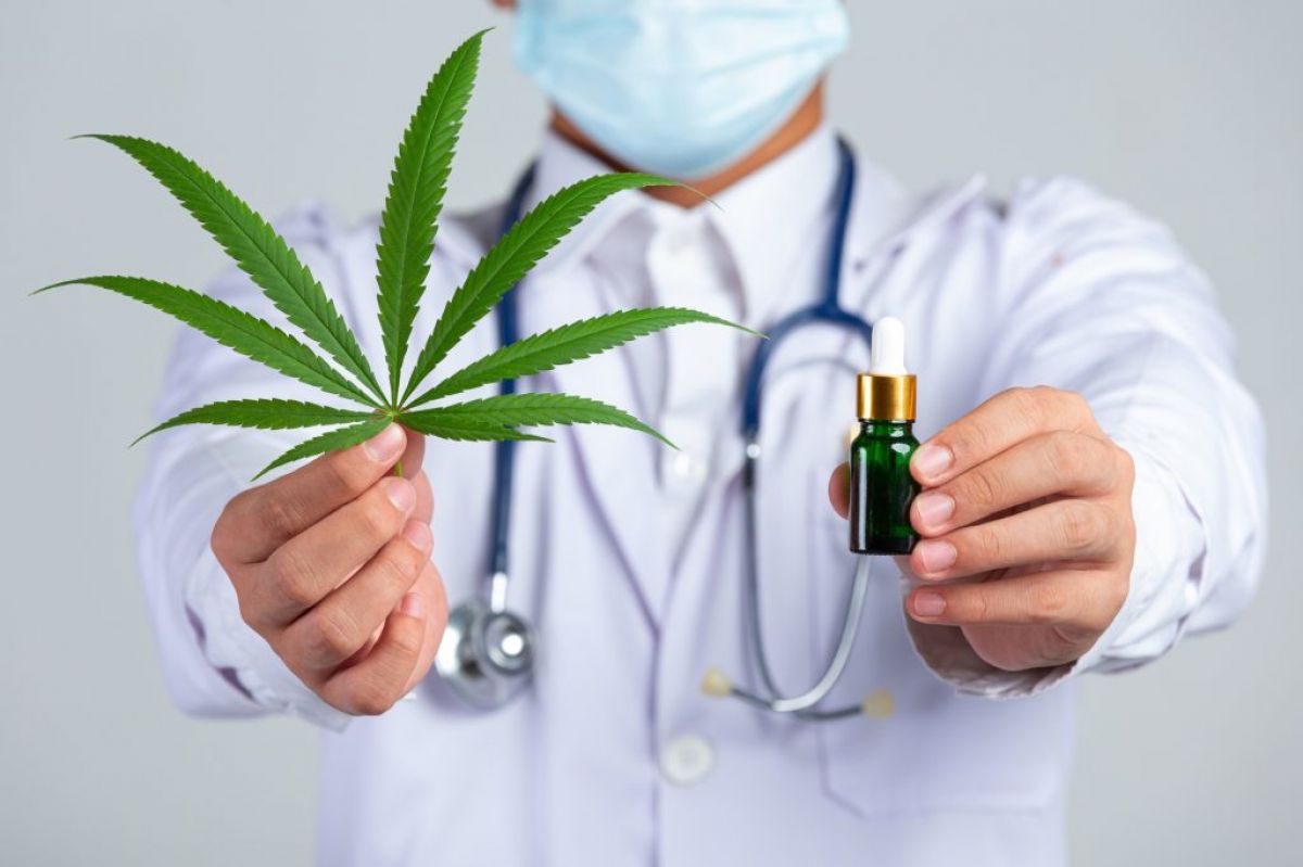 Projeto em tramitação na Câmara de Goiânia prevê carteirinha de identificação para pacientes de ‘cannabis’ medicinal