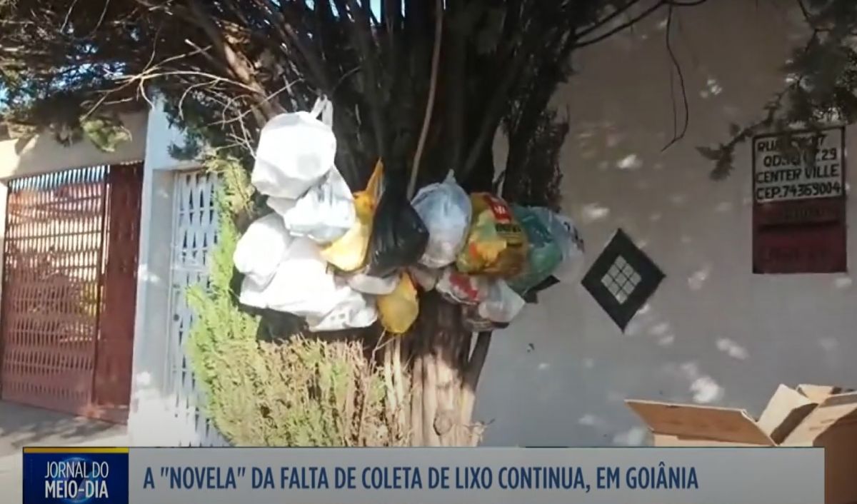 Continua o problema da coleta de lixo em vários bairros de Goiânia, mostra TV Serra Dourada