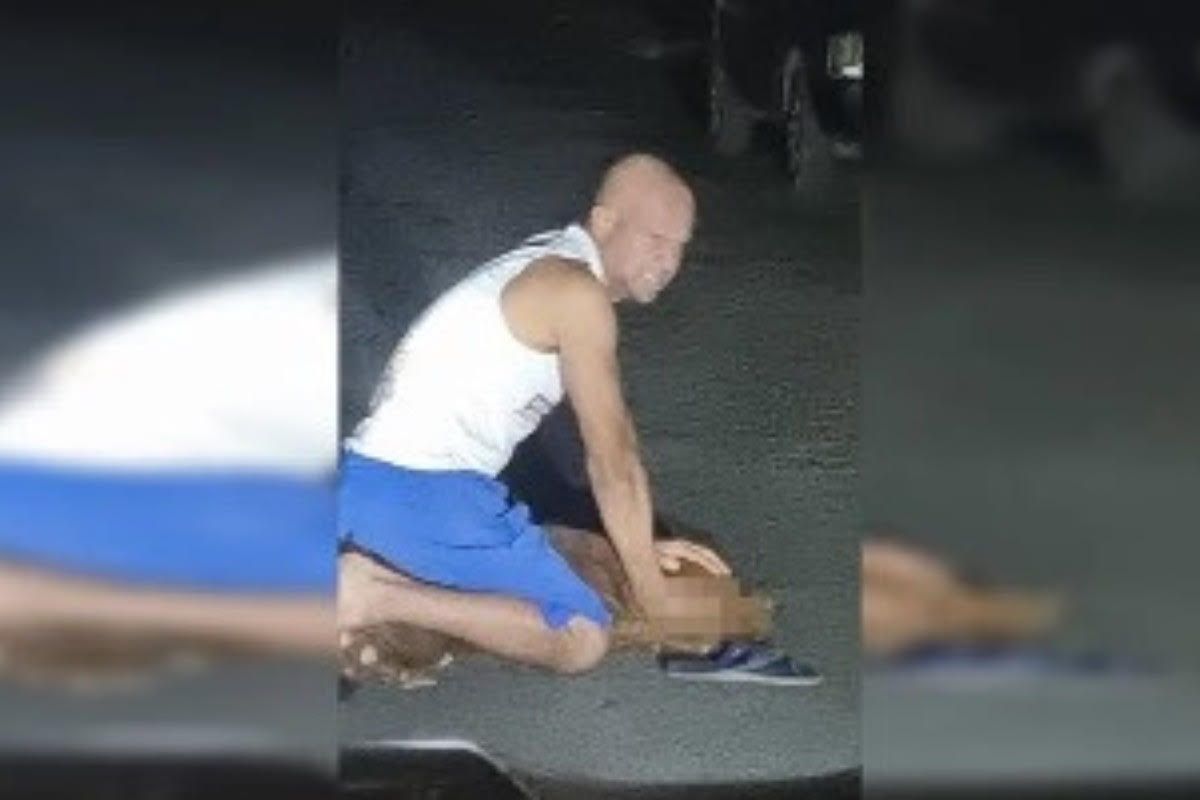 Tutor espanca pitbull que fugiu de casa em Formosa